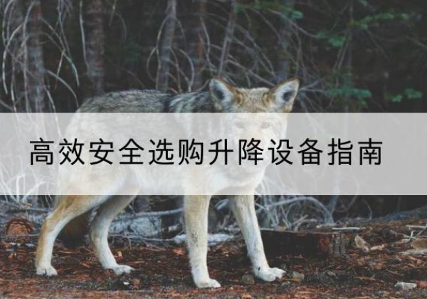 酉阳升降货梯厂家推荐-*安全选购升降设备指南