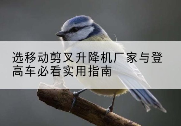 酉阳电动升降机厂家-选移动剪叉升降机厂家与登高车必看实用指南