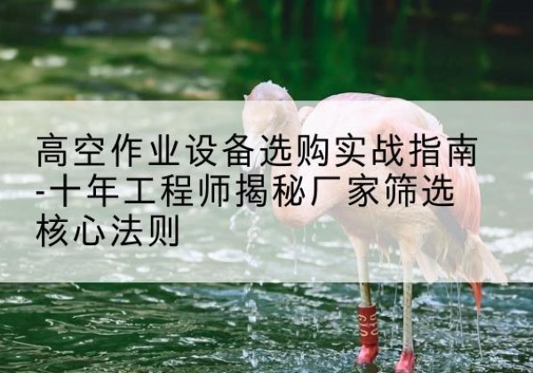 酉阳剪叉式升降机厂家-高空作业设备选购实战指南-十年工程师揭秘厂家筛选核心法则